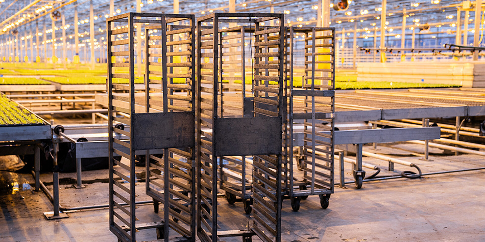 Vertical Plant Racks web