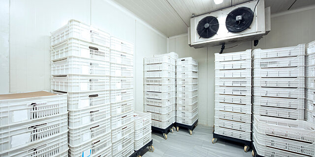 Blast Freezer Storage web