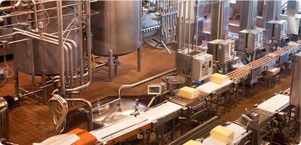 Food Processing Facility