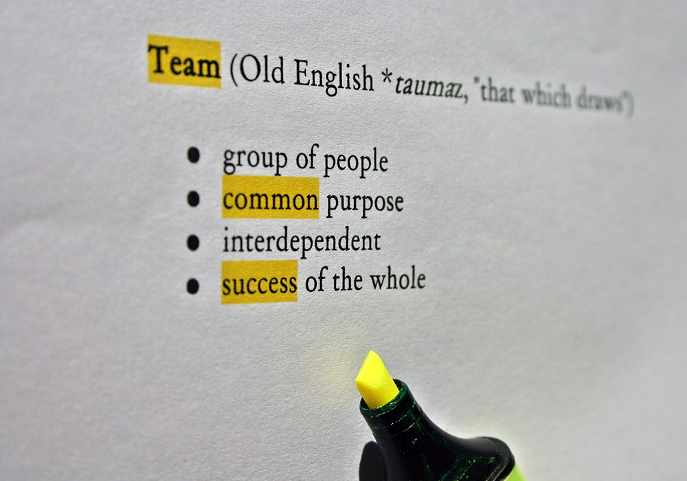 Team-Common-Success