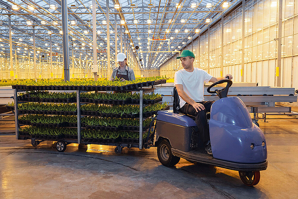 Towing Greenhouse Plants web