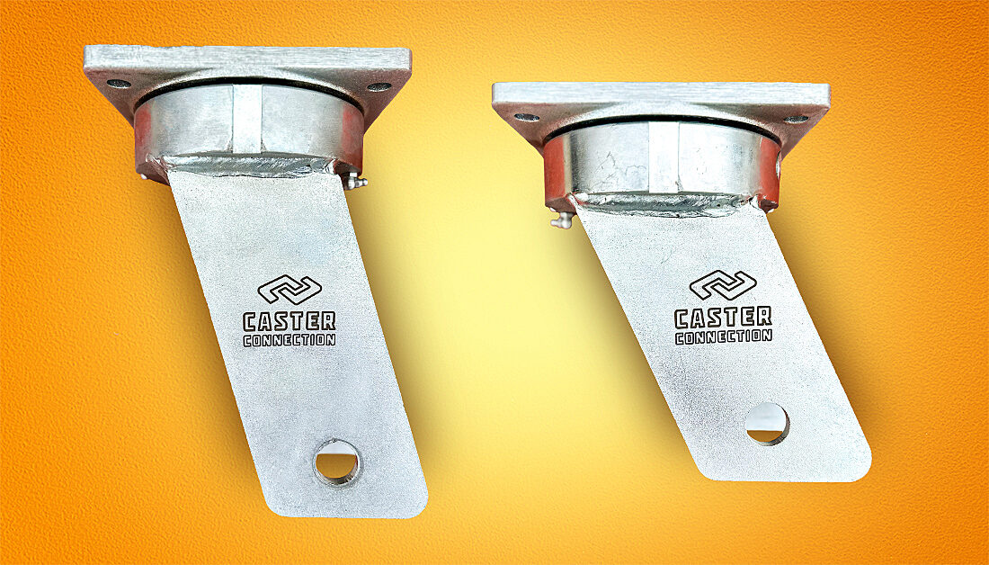 Brawn Group Shot web