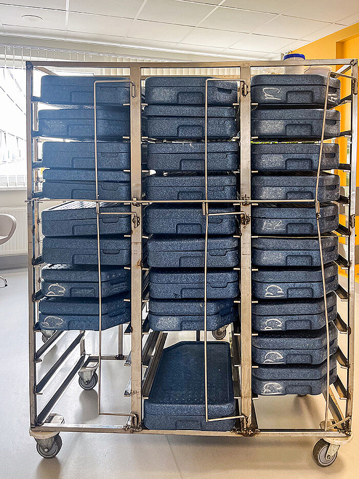 Meal Cart W Food Trays web